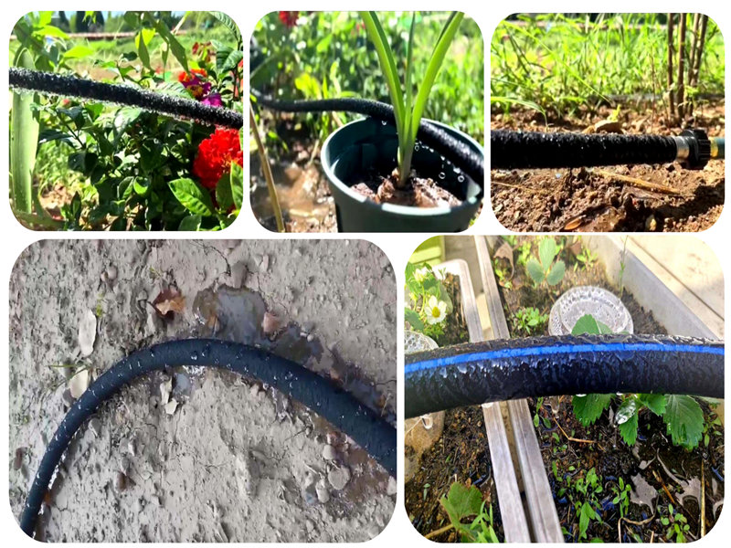 Application of Nano seepage irrigation pipe in Sandy Soil Irrigation