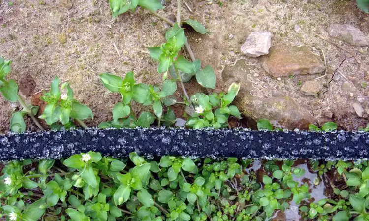 Why rubber hose can be used as soaker hose?