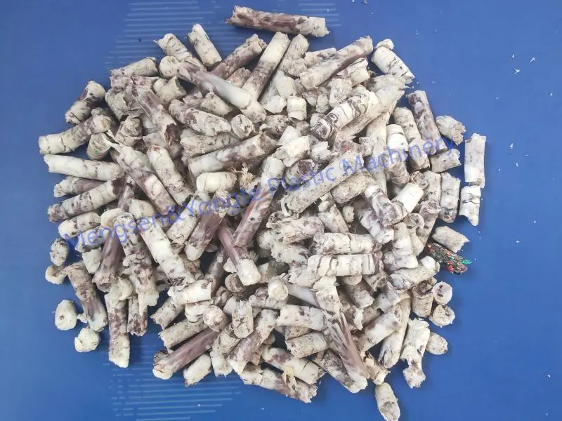 500kg/h Plastic Film Recycling Pellet Making Machine for African Customer
